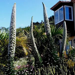 https://apartamento-mar-y-teide.tenerifehoteles.net